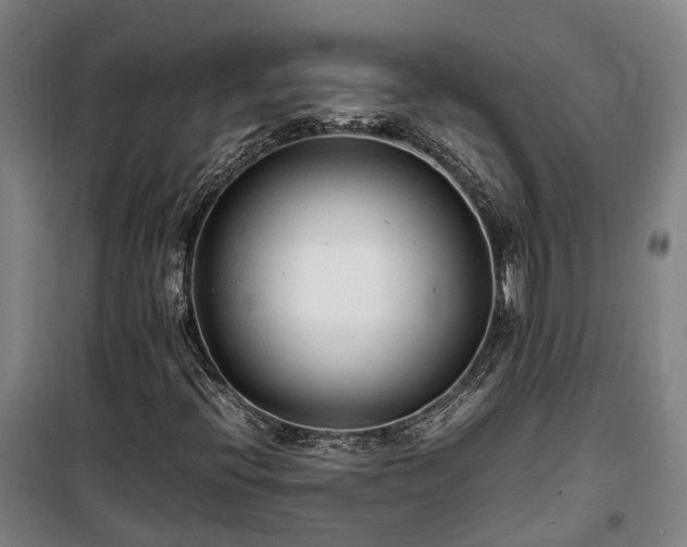 X0000100341396200806121140