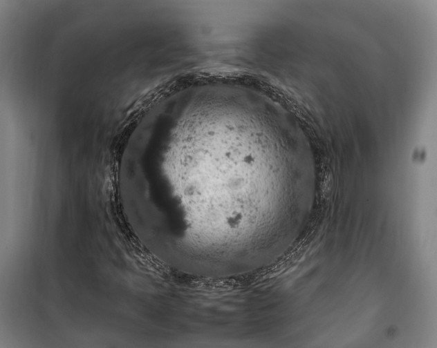 X0000100341397200806121140