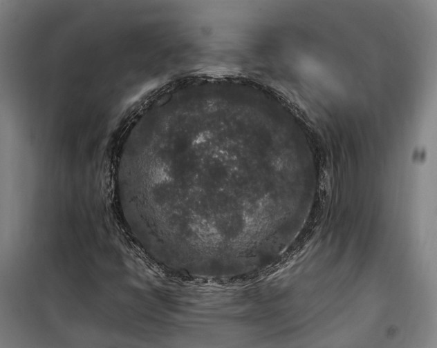 X0000100341398200806121140