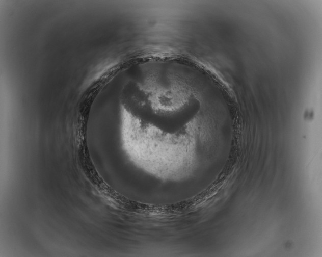 X0000100341399200806121140