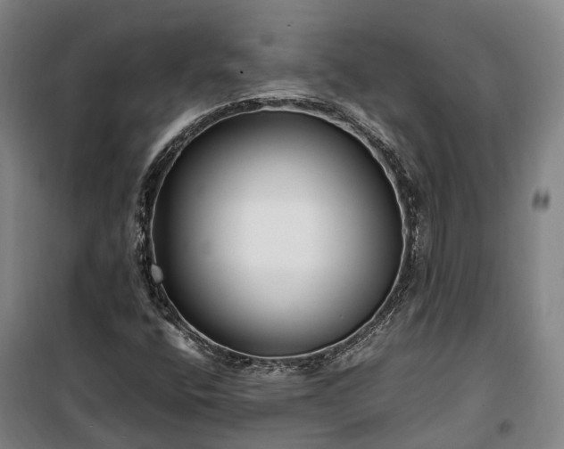 X0000100341400200806121140