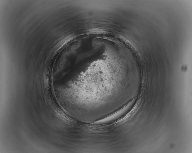 X0000100341401200806121140