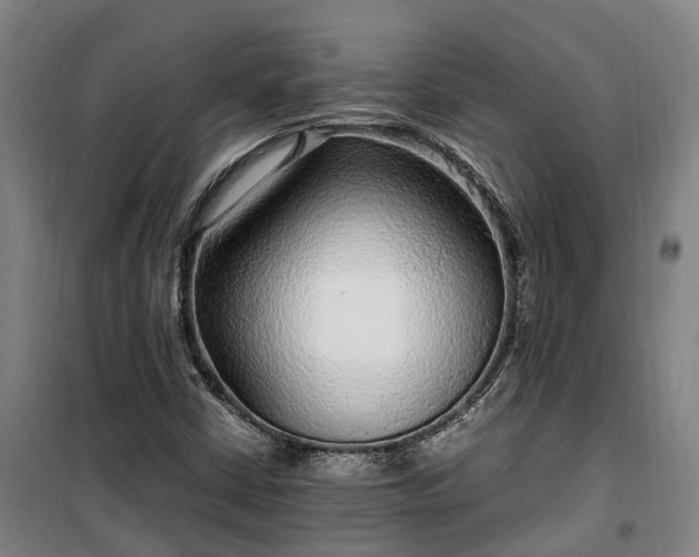 X0000100341402200806121140