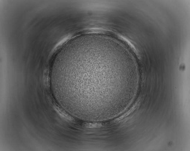 X0000100341403200806121140