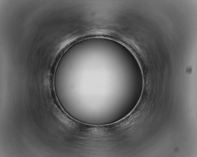 X0000100341404200806121140