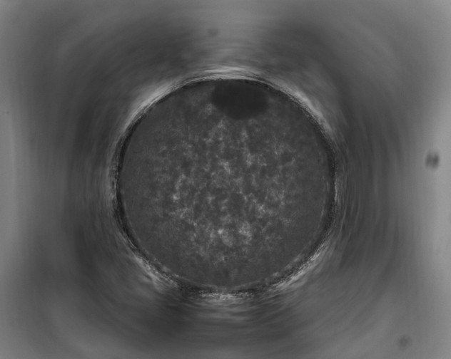 X0000100341405200806121140