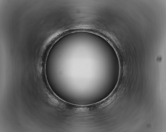 X0000100341406200806121140