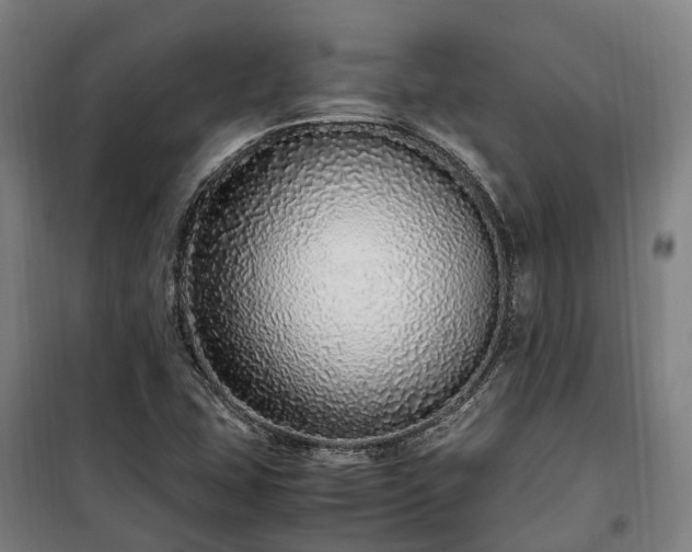 X0000100341407200806121140