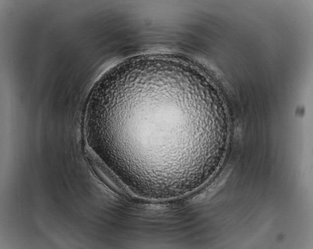 X0000100341409200806121140