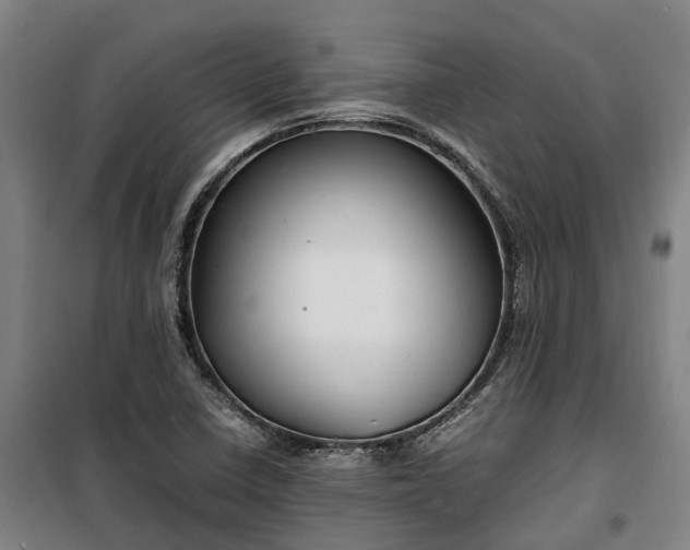 X0000100341410200806121140