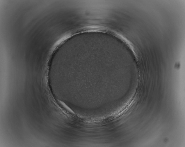 X0000100341411200806121140