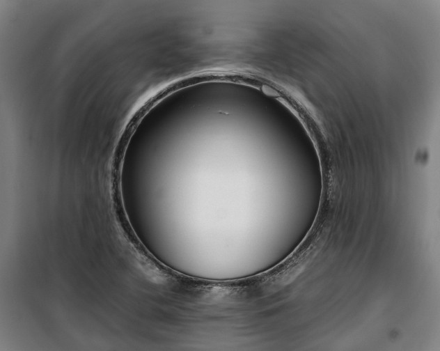 X0000100341412200806121140