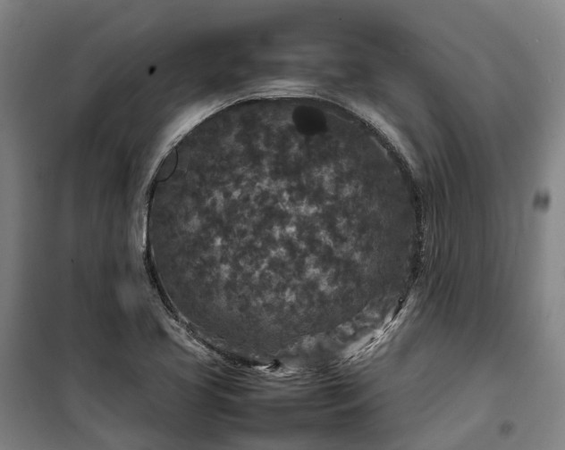X0000100341413200806121140