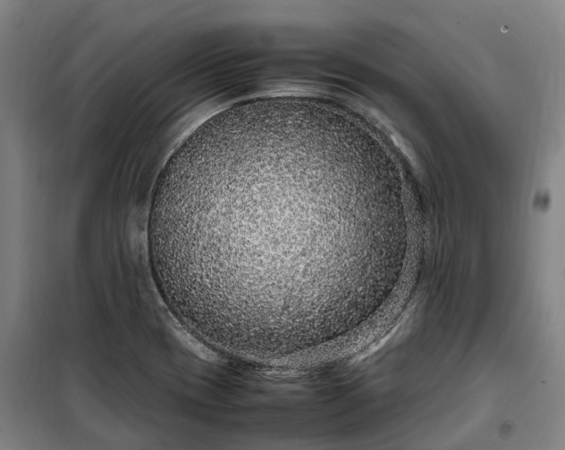 X0000100341417200806121140