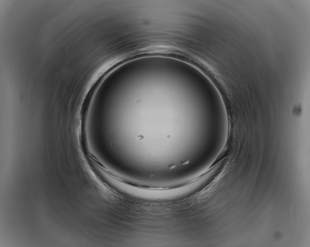 X0000100341418200806121140