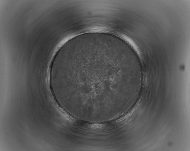 X0000100341419200806121140