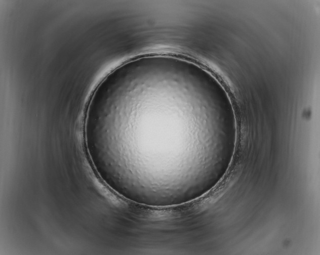 X0000100341421200806121140