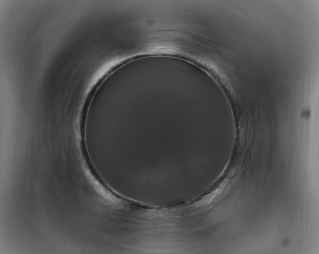 X0000100341422200806121140