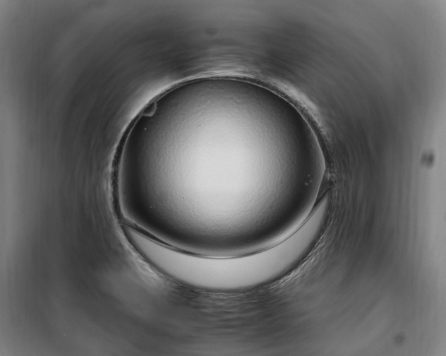 X0000100341423200806121140