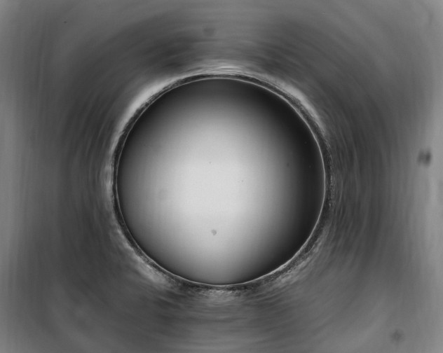 X0000100341424200806121140
