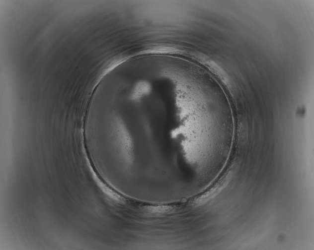 X0000100341425200806121140