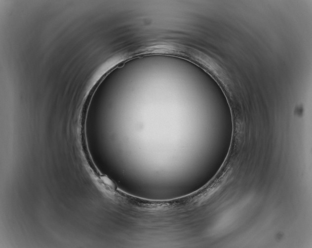 X0000100341426200806121140