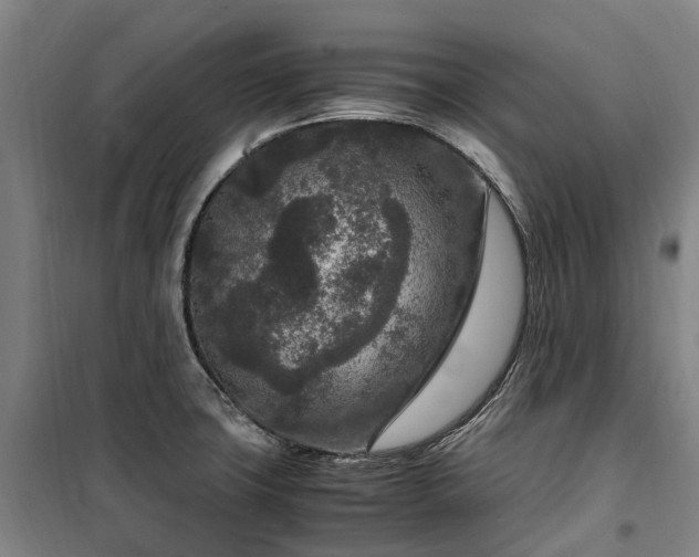 X0000100341427200806121140
