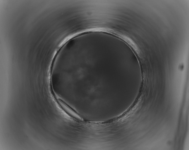 X0000100341428200806121140