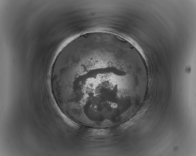 X0000100341429200806121140