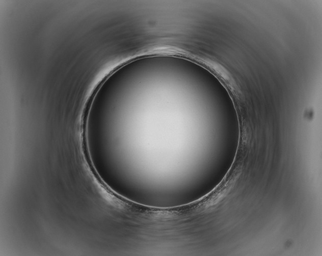 X0000100341430200806121140