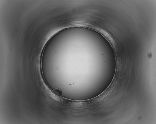 X0000100341431200806121140