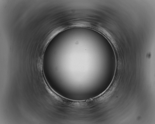 X0000100341433200806121140