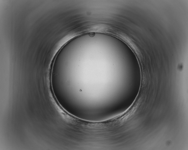 X0000100341434200806121140