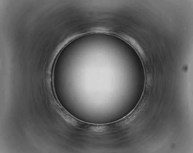 X0000100341435200806121140