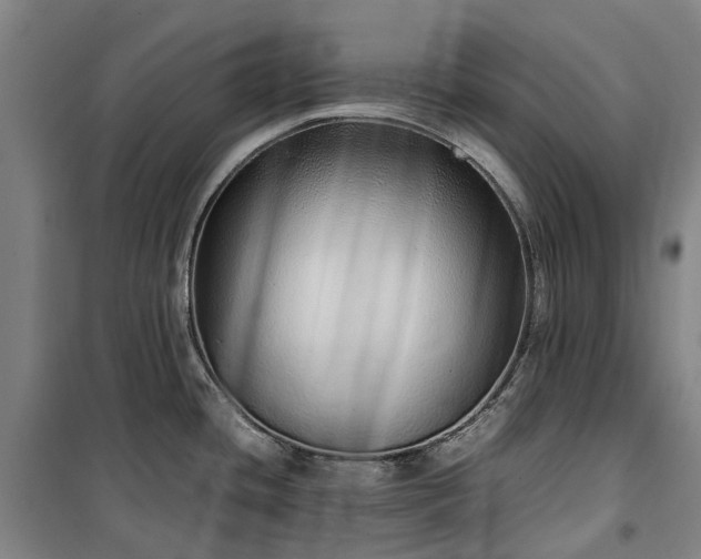 X0000100341436200806121140