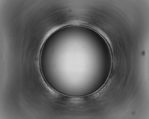 X0000100341437200806121140