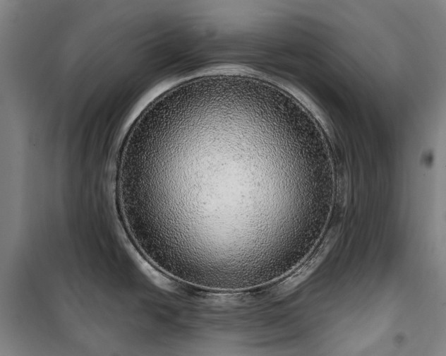 X0000100341438200806121140