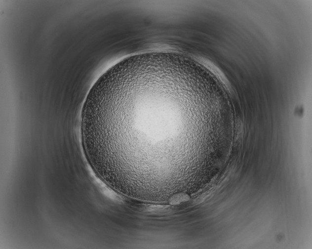 X0000100341439200806121140