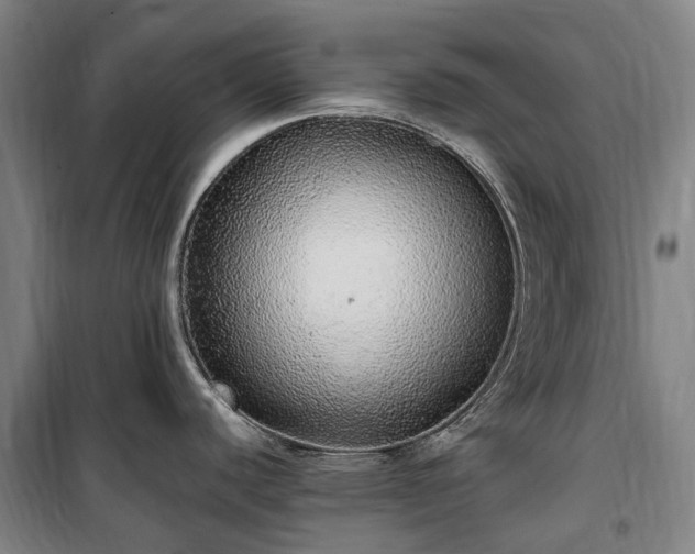 X0000100341440200806121140