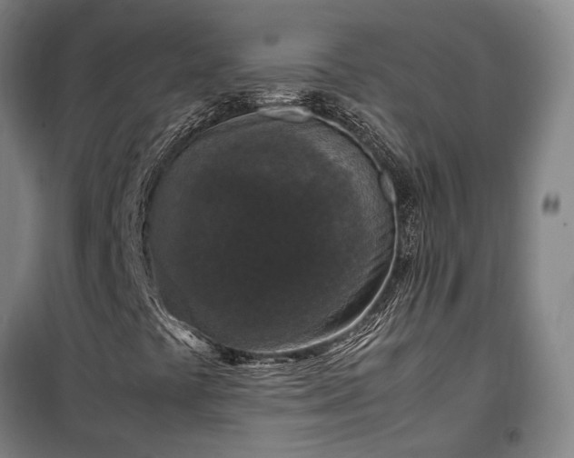 X0000100341441200806121140
