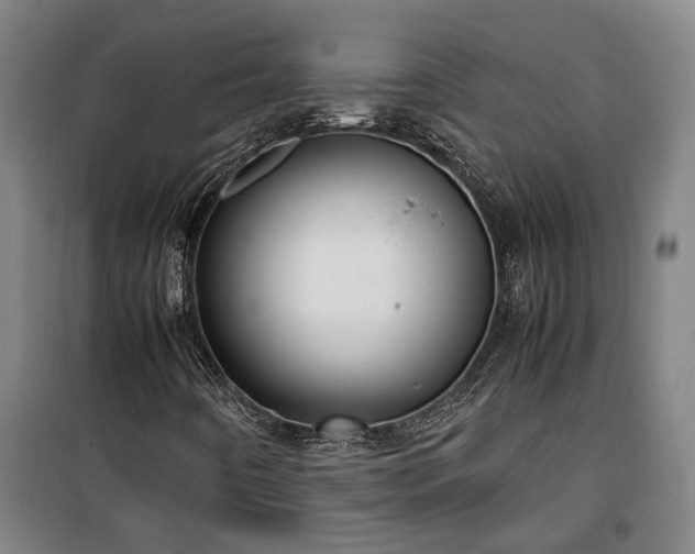 X0000100341442200806121140