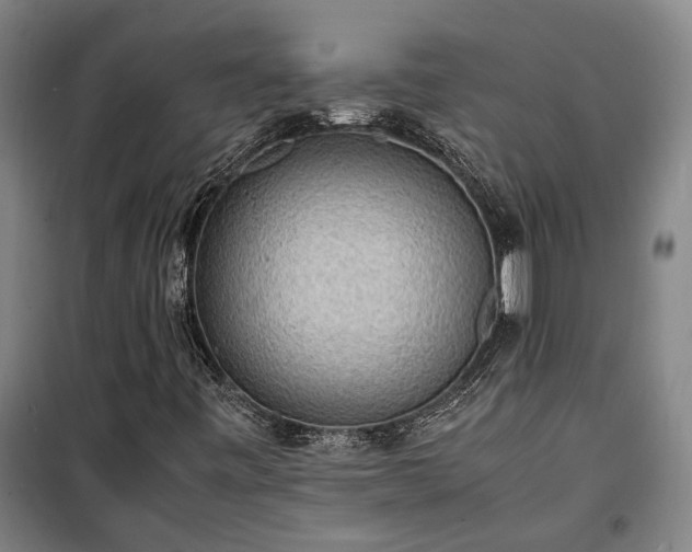 X0000100341443200806121140