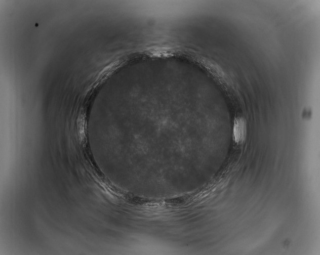 X0000100341444200806121140