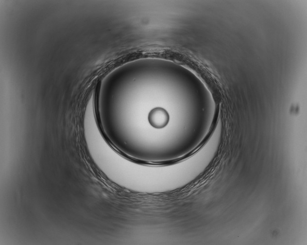 X0000100341445200806121140