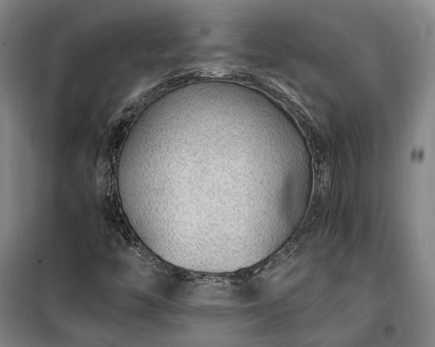 X0000100341446200806121140