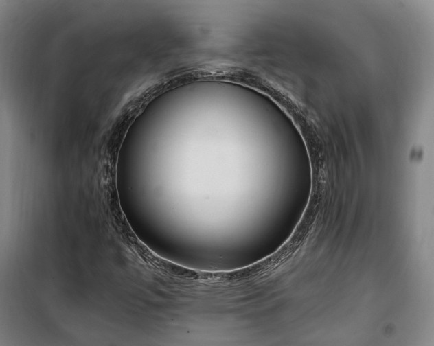 X0000100341447200806121140