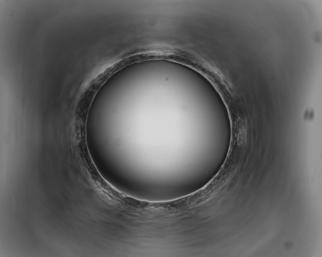 X0000100341448200806121140