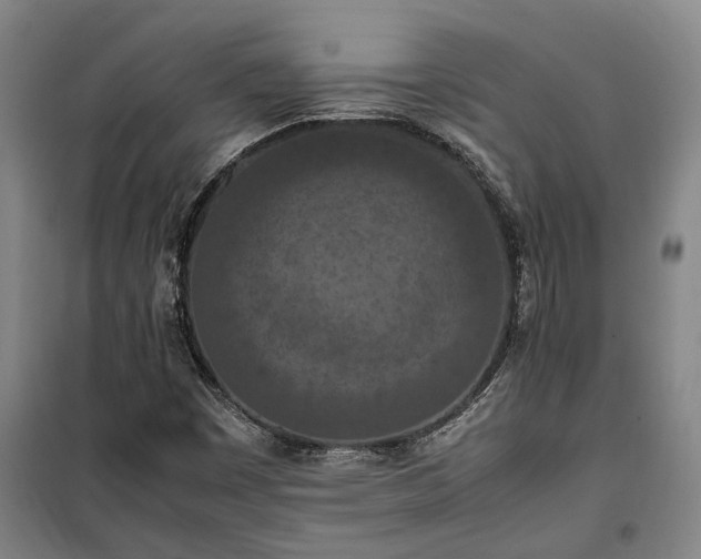 X0000100341449200806121140