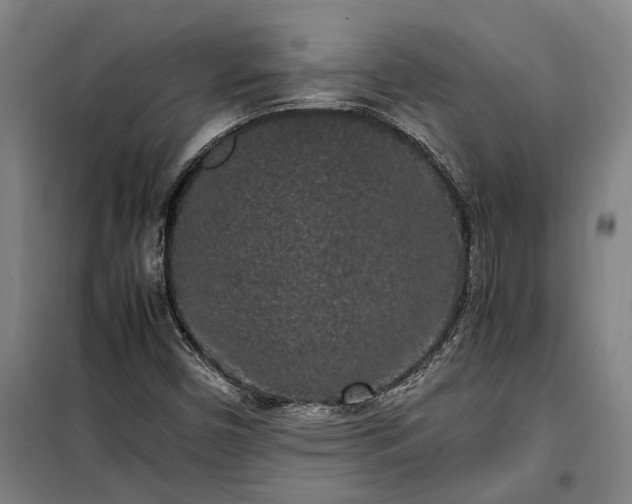 X0000100341450200806121140