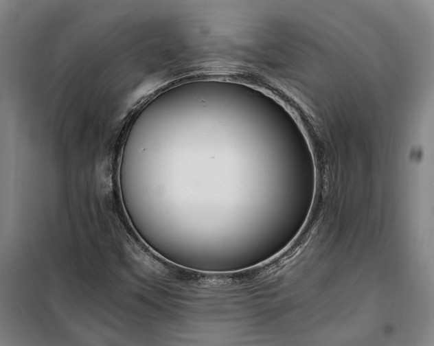 X0000100341451200806121140